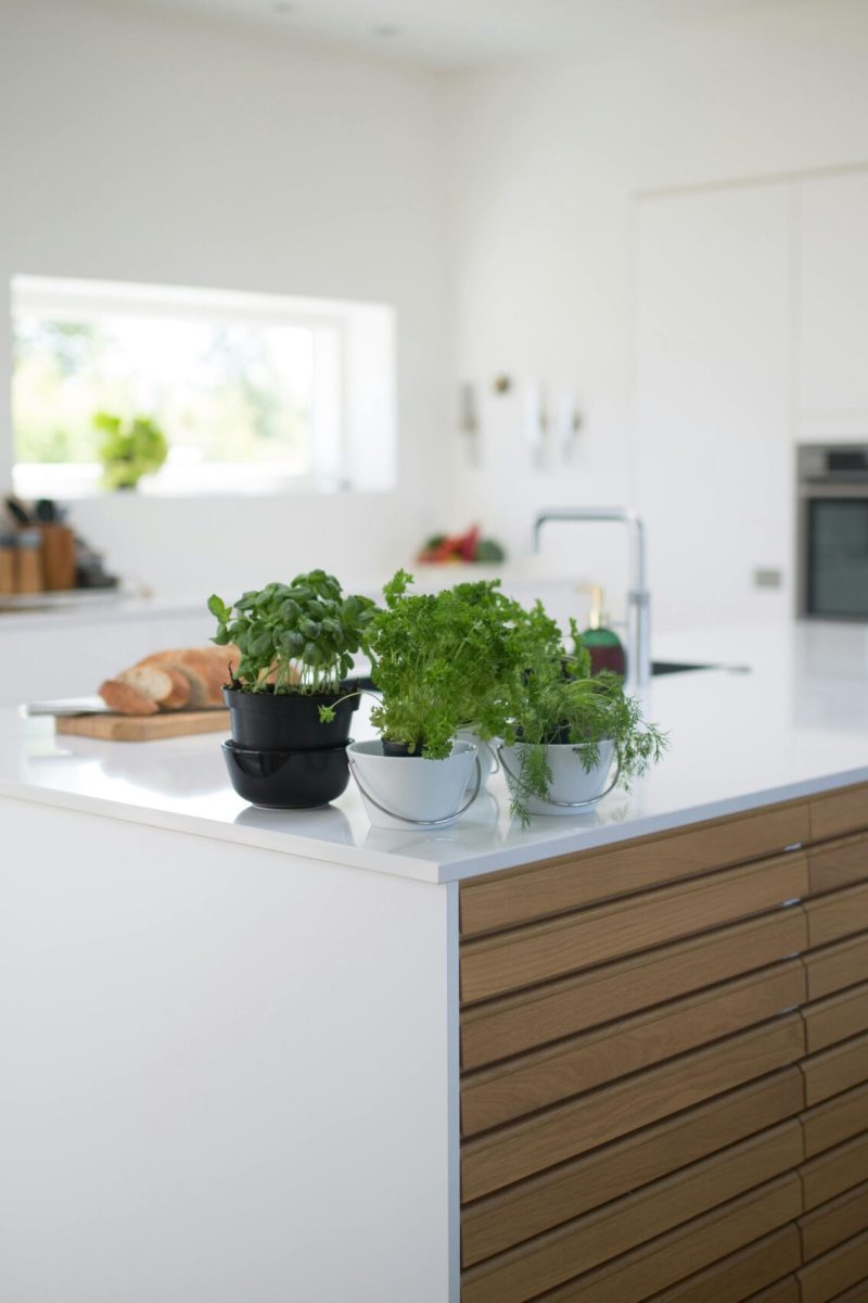 Spacious, light-filled kitchen with modern design and fresh herbs on the counter.